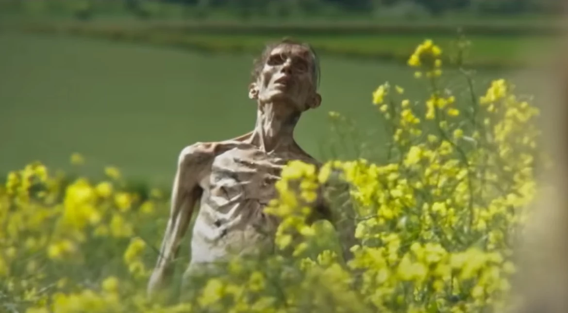 28 ans plus tard - Cillian Murphy ?