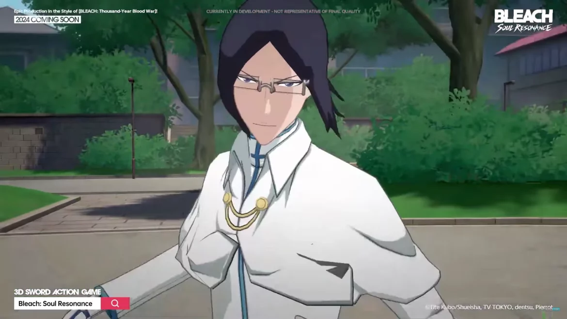 Bleach Soul Resonance