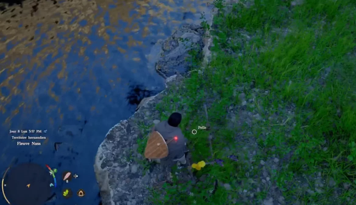 Crimson Desert pelle