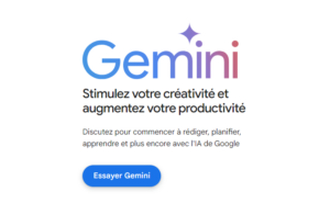 Google ONE Gemini IA