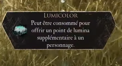 LUMICOLOR - Point de Lumina