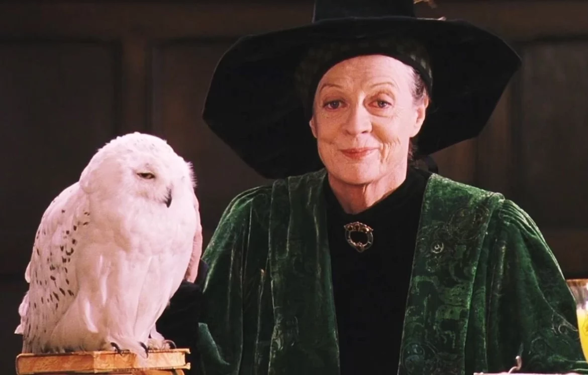 McGonagall - Harry Potter