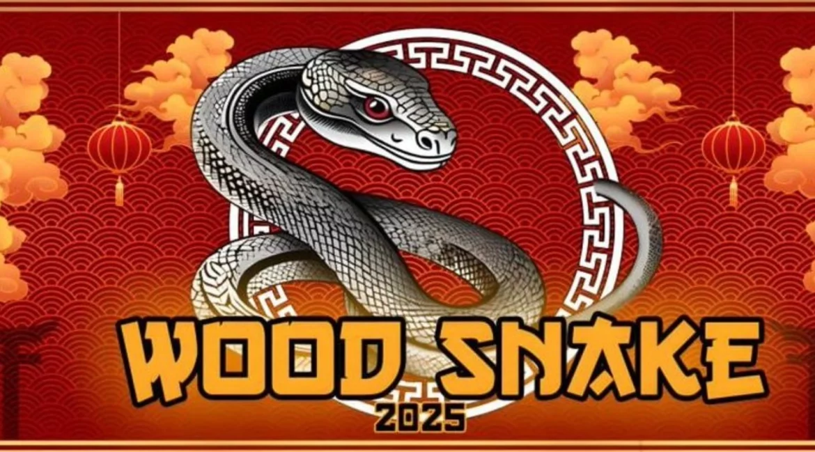 Nouvel An Chinois 2025