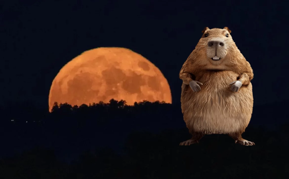 Super Lune du Castor