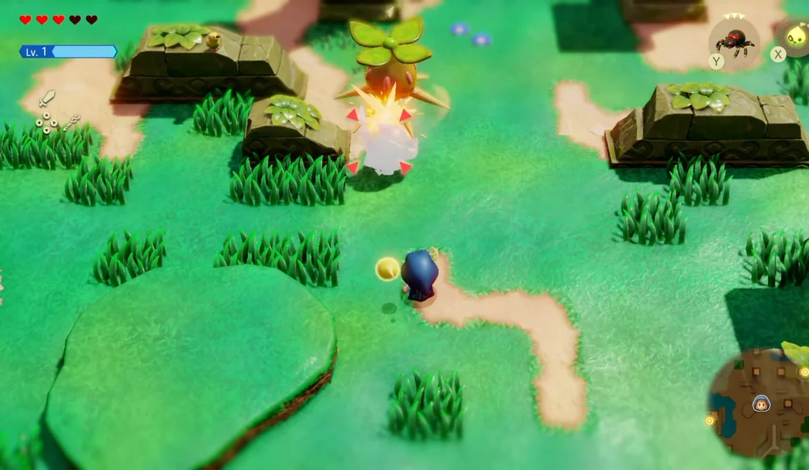 Zelda Echoes of Wisdom Nintendo Switch