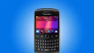blackberry