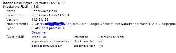 bug-flash-chrome3