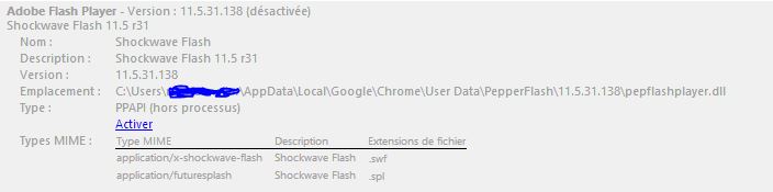 bug-flash-chrome4