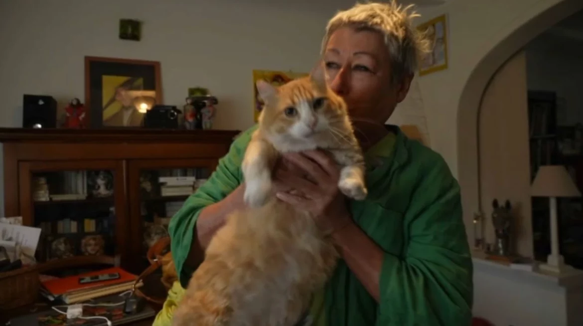 chat condamné 1 250 € - amende voisin