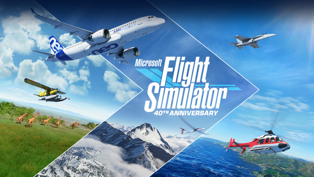 flight-simulator