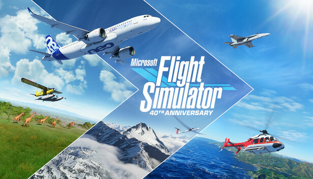 flight-simulator-2