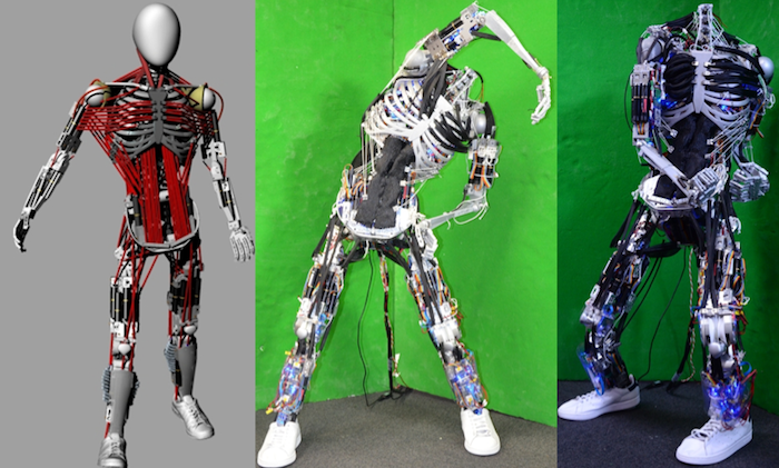 kenshiro-robot-squelette