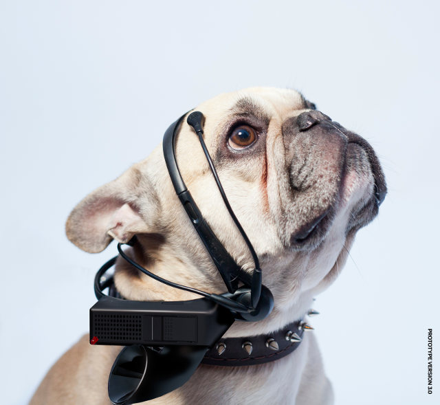 no-more-woof-casque-chien