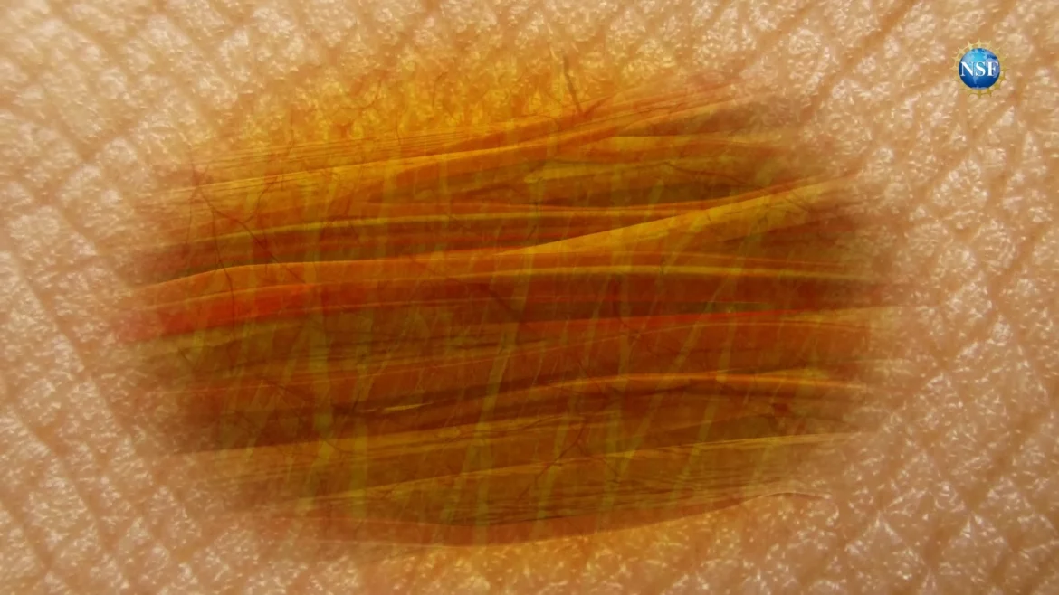 peau transparente peau transparente